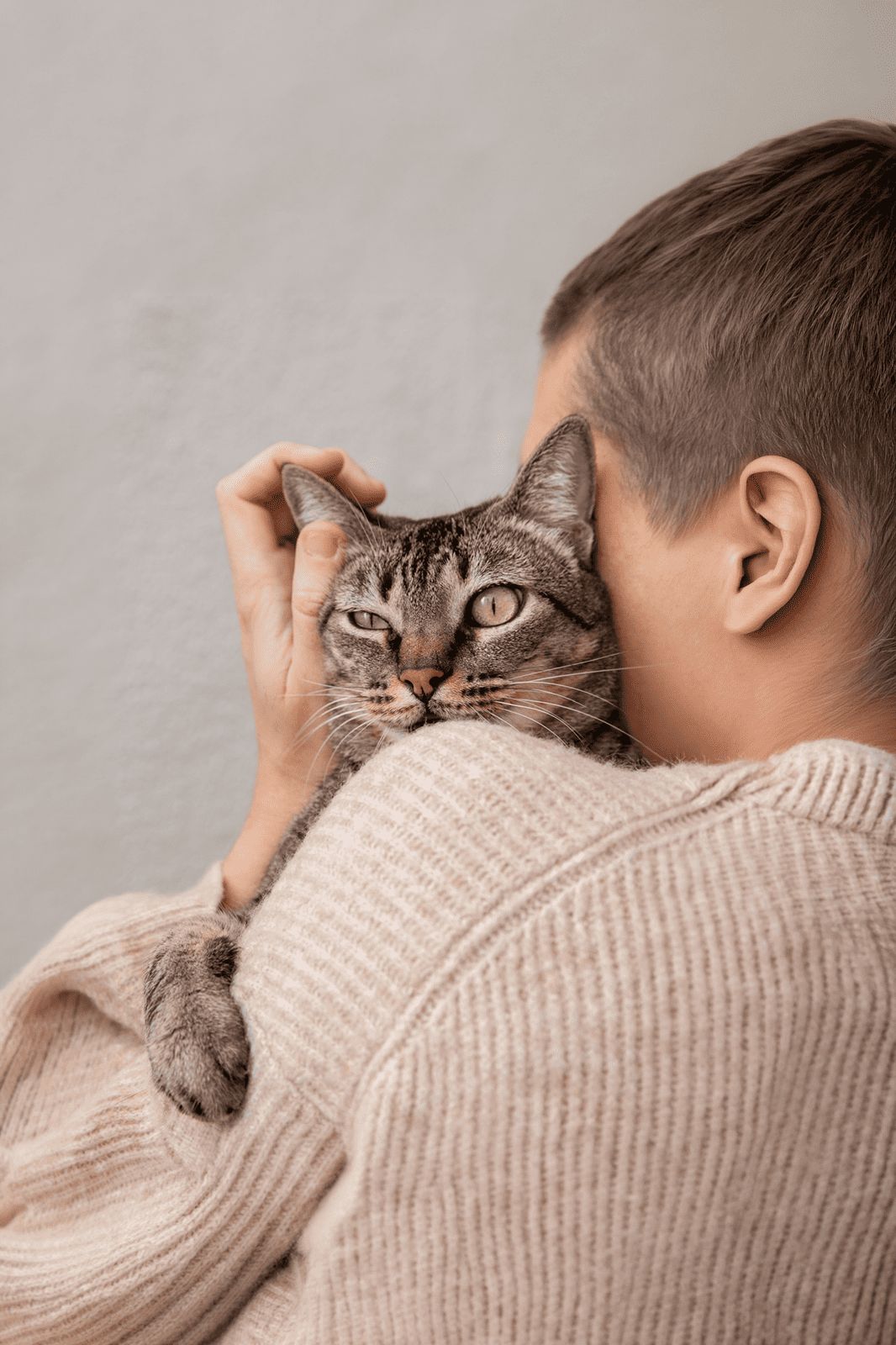 Gato en recuperación acompañado por su tutora — las defensas también bajan en felinos